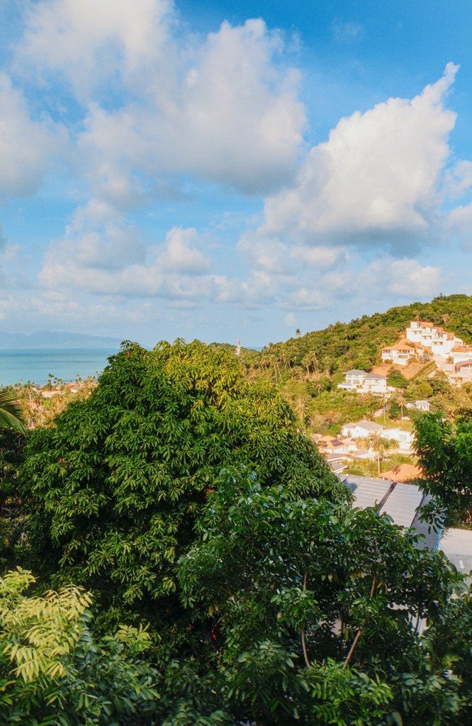 View from the villa across the jungle to the coast